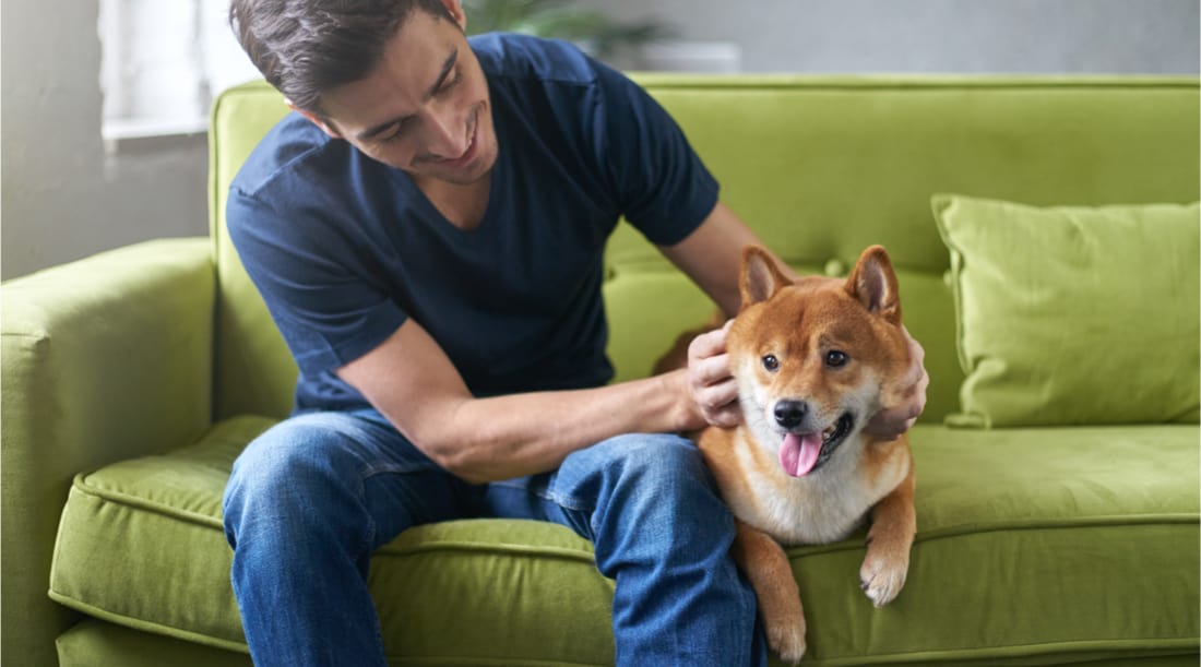 Renting to tenants with pets
