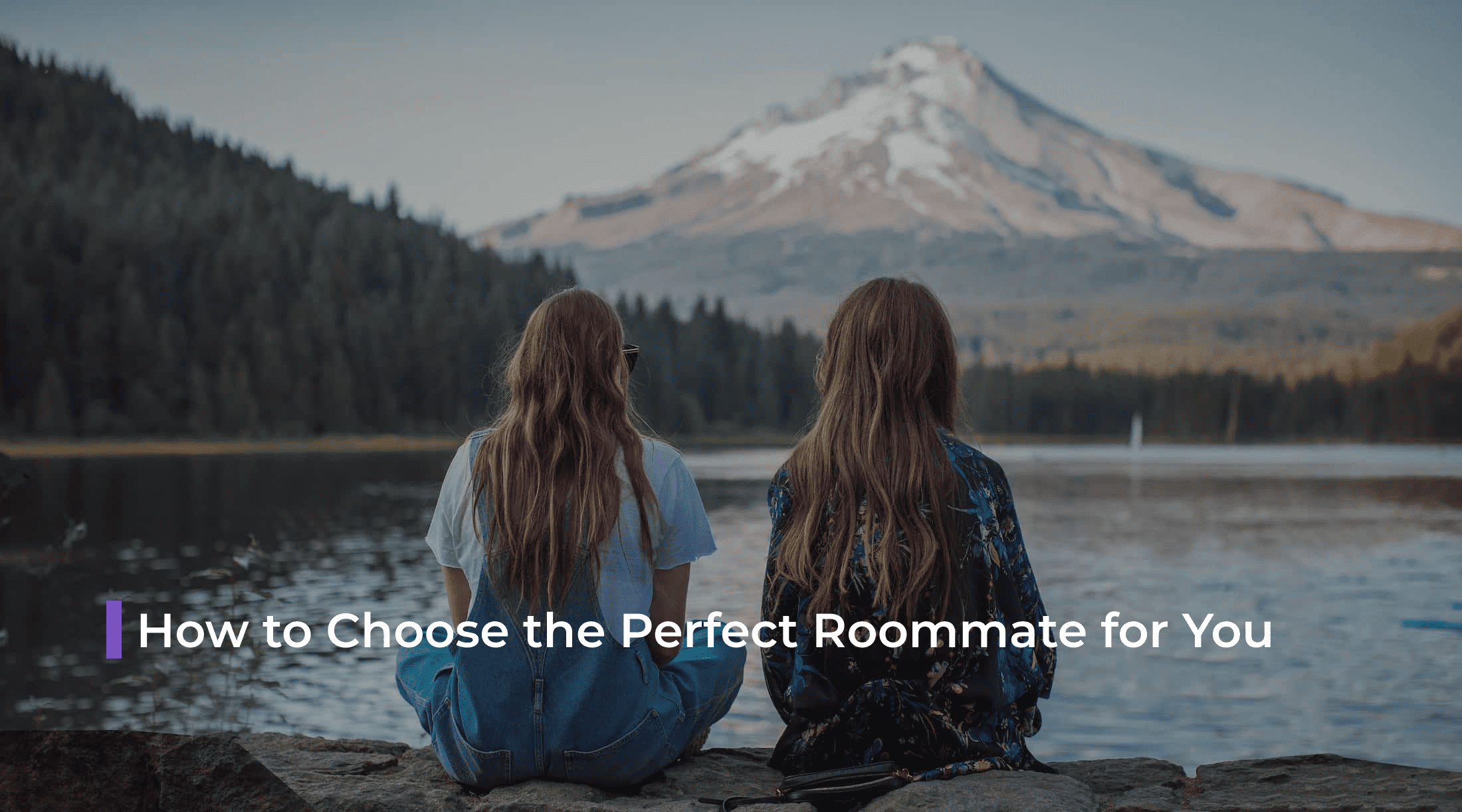 how to find the perfect roommate essay