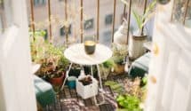 make a garden on your balcony